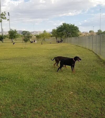RJ Dog Park at Pecos Park - Phoenix, AZ