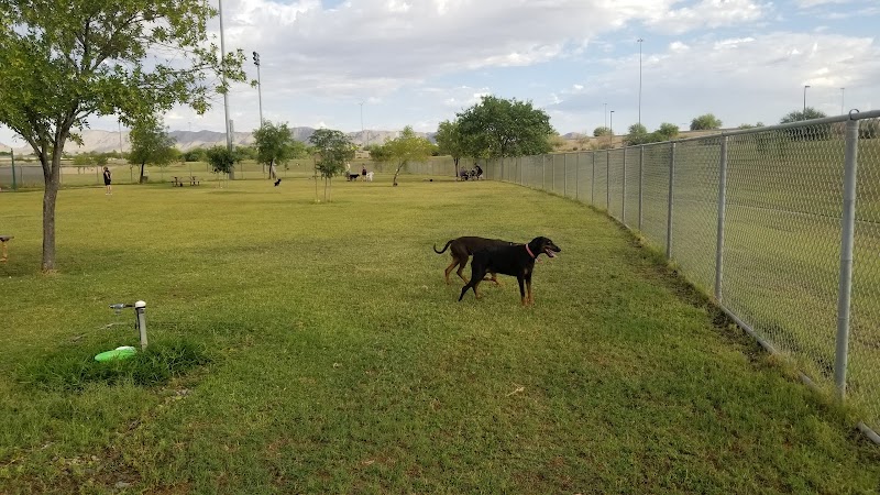 RJ Dog Park at Pecos Park - Phoenix, AZ