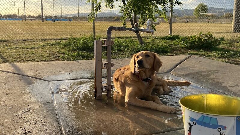 RJ Dog Park at Pecos Park - Phoenix, AZ