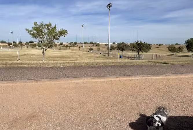 RJ Dog Park at Pecos Park - Phoenix, AZ
