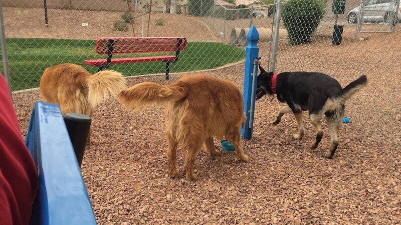 Trailwood Dog Park - Phoenix, AZ