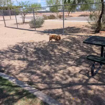 Pinnacle Dog Park - Phoenix, AZ