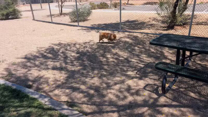 Pinnacle Dog Park - Phoenix, AZ