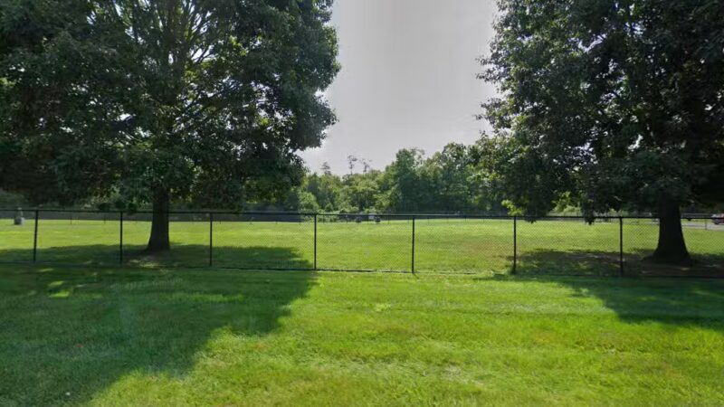 Longford Park/Reynolds' Dog Park - Phoenixville, PA