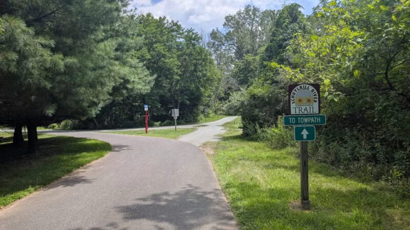 Longford Park/Reynolds' Dog Park - Phoenixville, PA