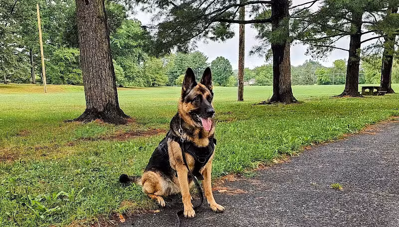 Charlestown Township Park - Phoenixville, PA