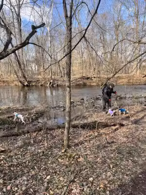 French Creek Trail - Phoenixville, PA
