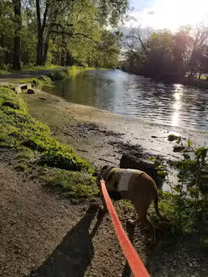 Port Providence Trailhead - Schuylkill River Trail - Phoenixville, PA