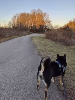 Schuylkill River Trail Pawlings Road Trailhead - Phoenixville, PA