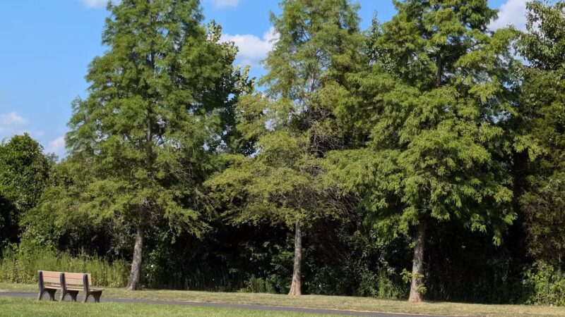 Schuylkill River Trail Pawlings Road Trailhead - Phoenixville, PA