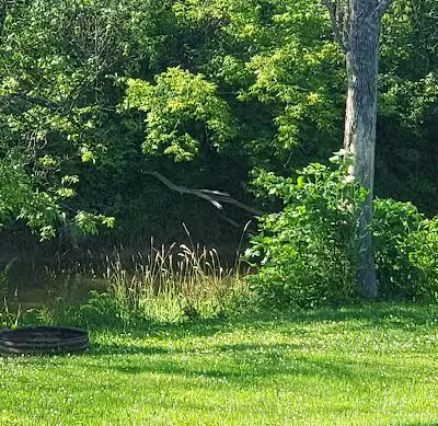 Pickford Township Park - Pickford, MI