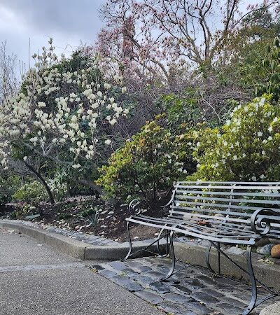 Bear Park - Piedmont, CA