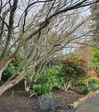 Bear Park - Piedmont, CA