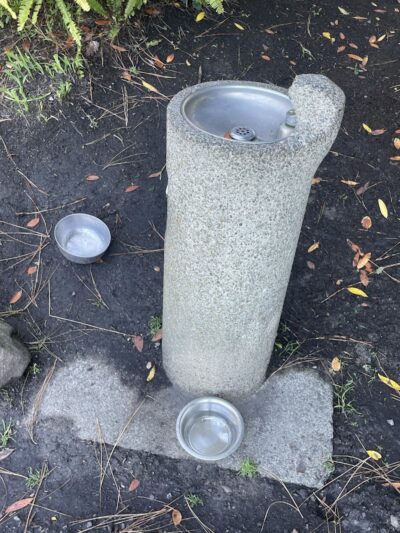 Bear Park - Piedmont, CA