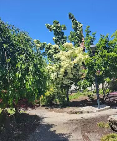 Bear Park - Piedmont, CA