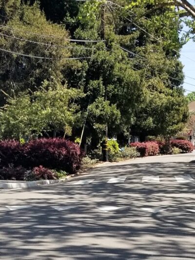 Dearing Park - Piedmont, CA