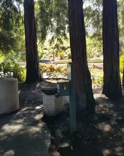 Dearing Park - Piedmont, CA