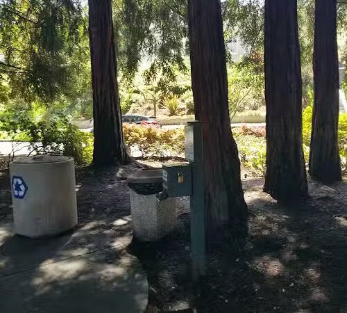 Dearing Park - Piedmont, CA