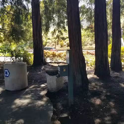 Dearing Park - Piedmont, CA
