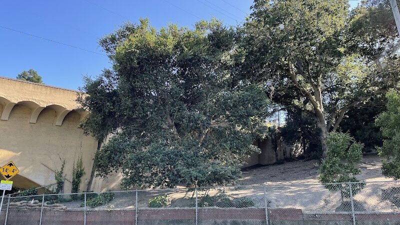 Linda Ave Dog Park - Piedmont, CA