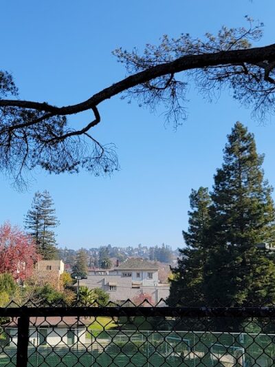 Linda Ave Dog Park - Piedmont, CA