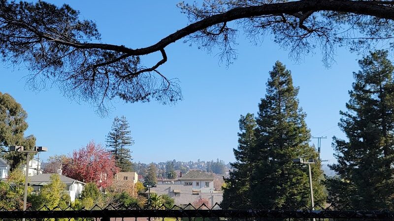 Linda Ave Dog Park - Piedmont, CA