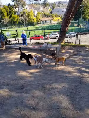 Linda Ave Dog Park - Piedmont, CA