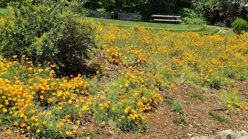 Linda Ave Dog Park - Piedmont, CA