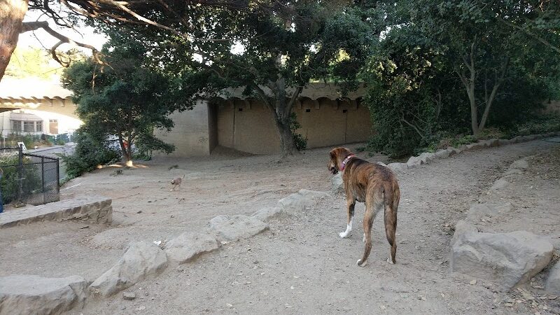 Linda Ave Dog Park - Piedmont, CA