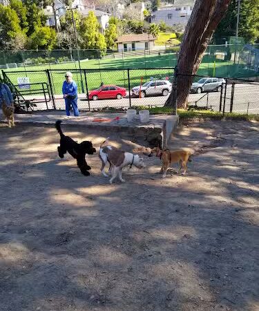 Linda Ave Dog Park - Piedmont, CA