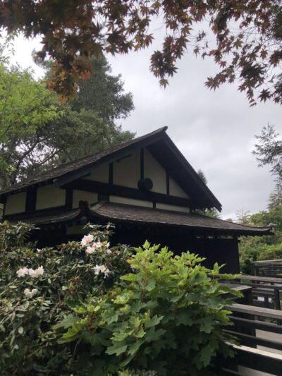 Piedmont - Piedmont, CA