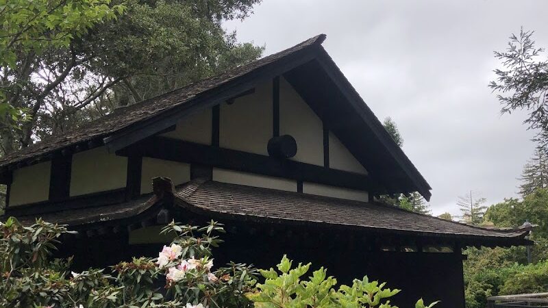 Piedmont - Piedmont, CA