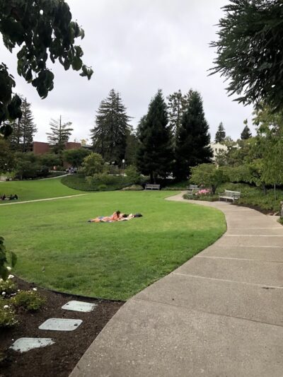 Piedmont - Piedmont, CA