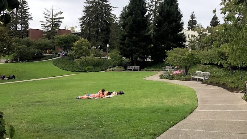 Piedmont - Piedmont, CA