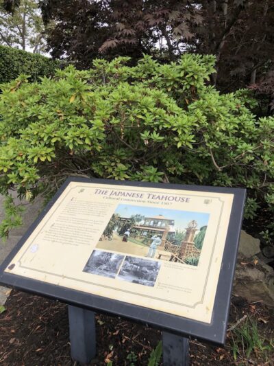 Piedmont - Piedmont, CA