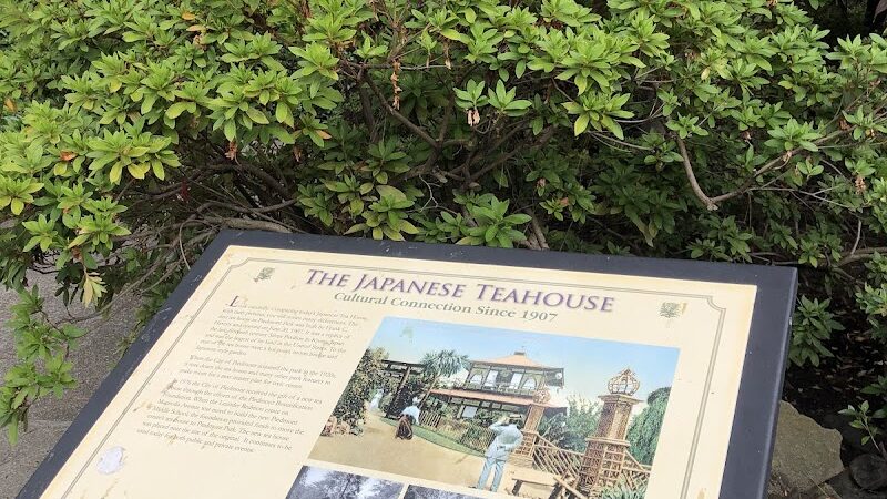 Piedmont - Piedmont, CA