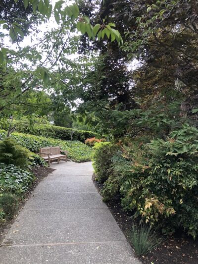 Piedmont - Piedmont, CA