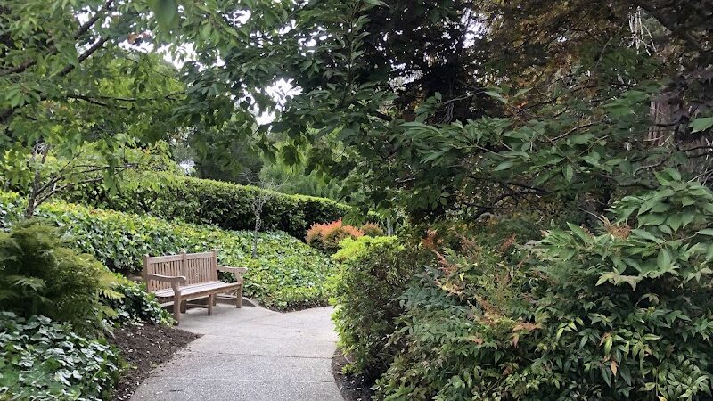 Piedmont - Piedmont, CA