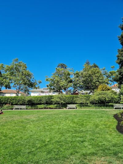 Piedmont Park - Piedmont, CA