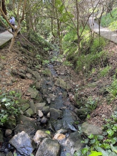 Piedmont Park - Piedmont, CA