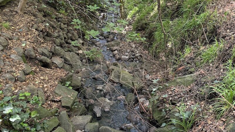 Piedmont Park - Piedmont, CA