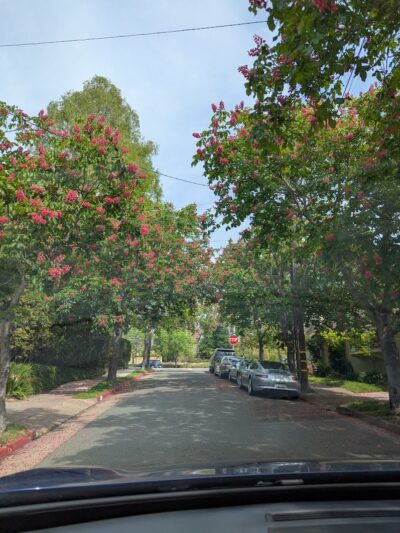 Piedmont Park - Piedmont, CA