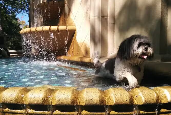 Piedmont Park - Piedmont, CA