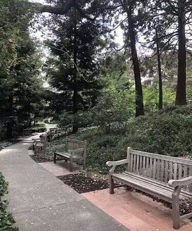 Piedmont - Piedmont, CA