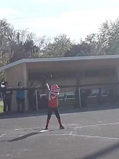 Pigeon Village Park - Pigeon,