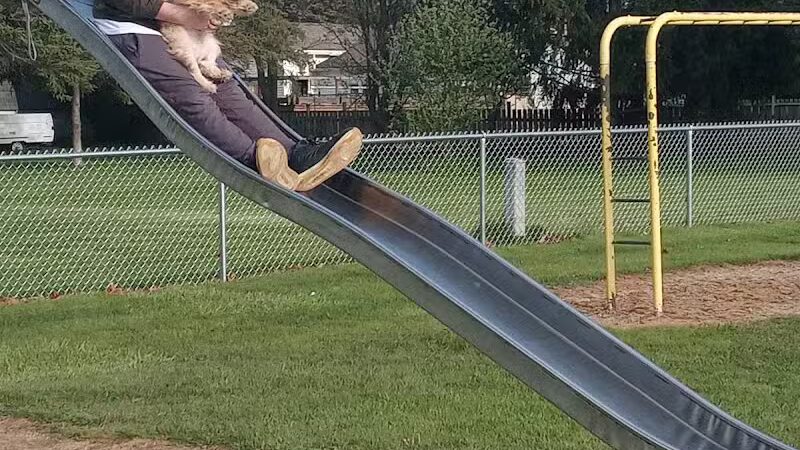 Pigeon Village Park - Pigeon,