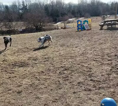 Dog Park at Arise Church - Pinckney, MI