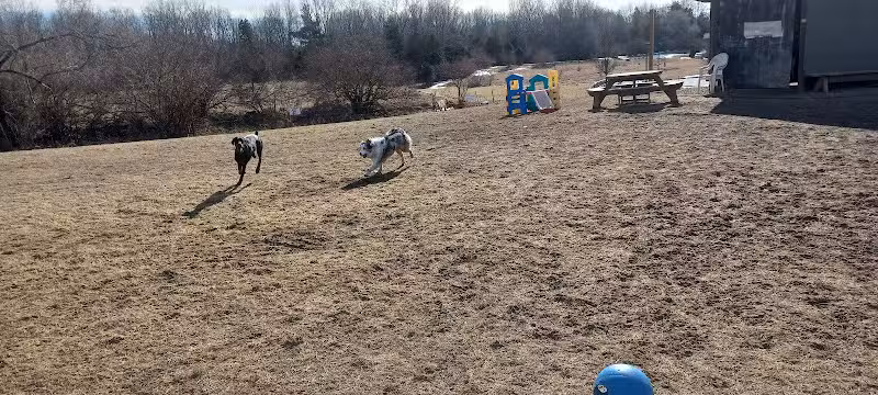 Dog Park at Arise Church - Pinckney, MI