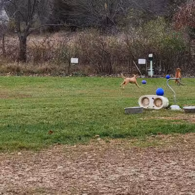Dog Park at Arise Church - Pinckney, MI