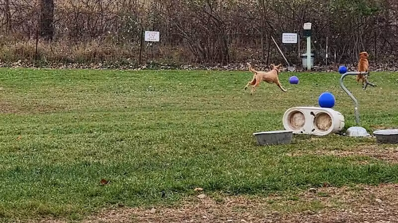 Dog Park at Arise Church - Pinckney, MI